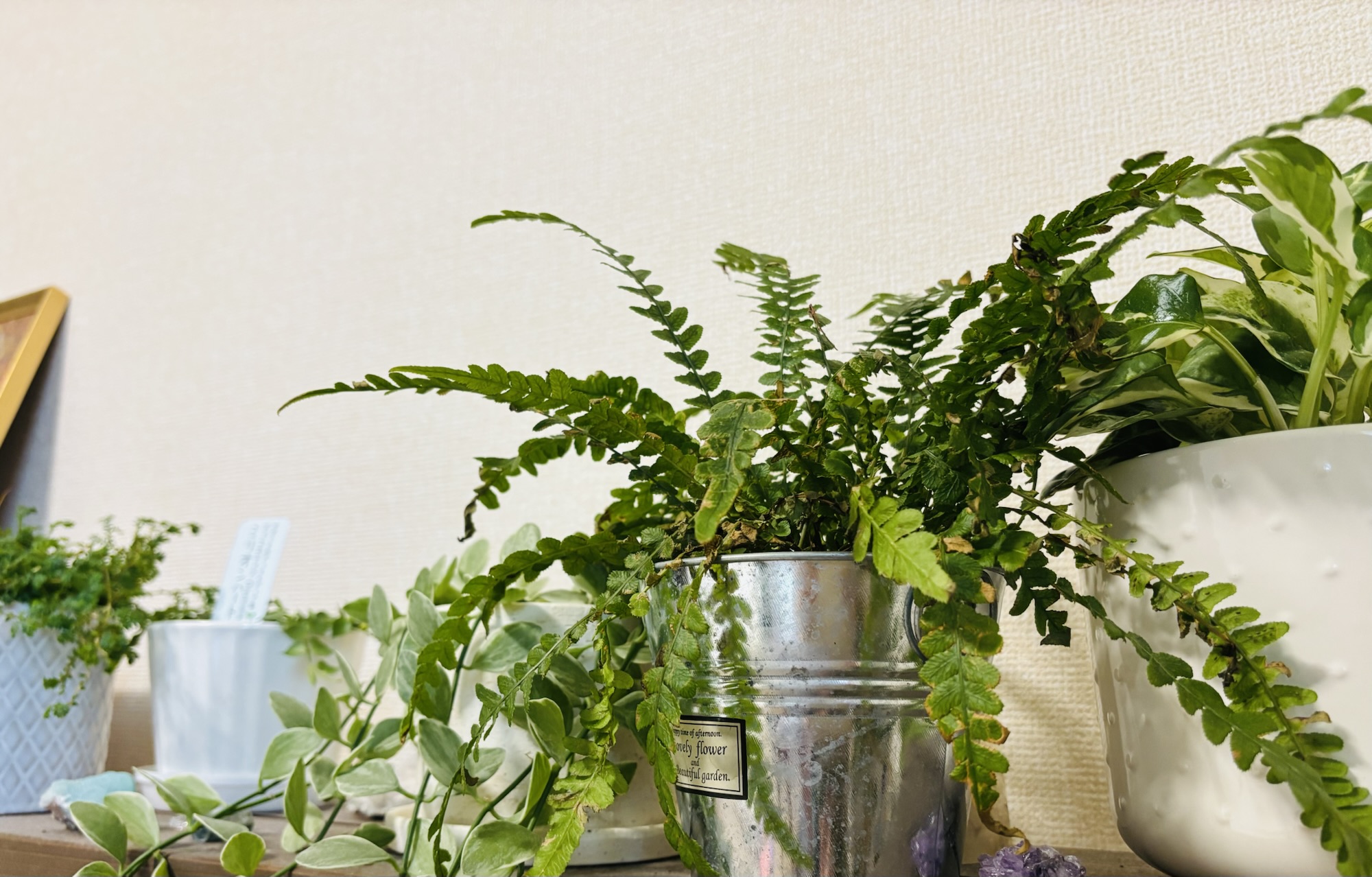 副業を始めて見えてきた世界　〜1%の勇気と行動が人生を変えていく〜